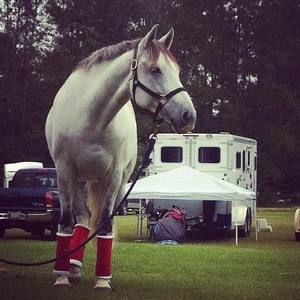 Meet your Posher, Renee